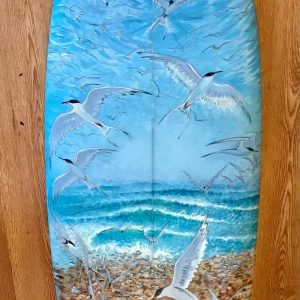 Art Surfboard Terns Osnat De Villiers